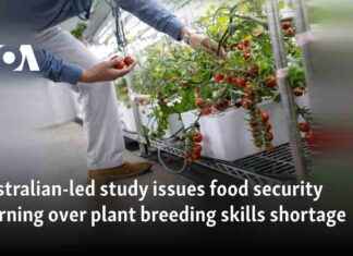 Australian-led study issues food security warning over plant breeding skills shortage australian-led-study-issues-food-security-warning-over-plant-breeding-skills-shortage