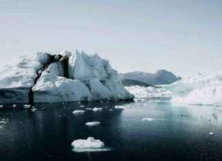 Could giant viruses slow the Arctic ice-melt? could-giant-viruses-slow-the-arctic-ice-melt