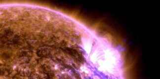 news-13062024-225130