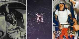 news-14062024-153012