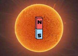 Sun’s magnetic field flip: What to expect?
Impending flip of the Sun’s magnetic field news-14062024-170029