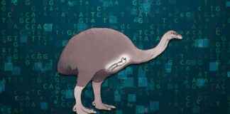 news-15062024-140110