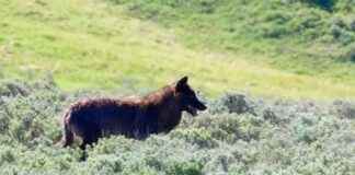 news-16062024-020134