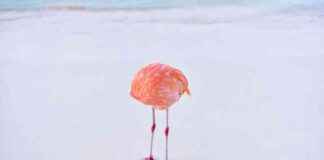 news-16062024-033759