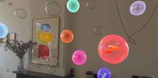 news-16062024-063051