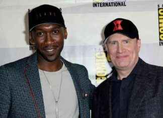 Blade Movie Faces Another Setback as Second Director Exits news-16062024-074044