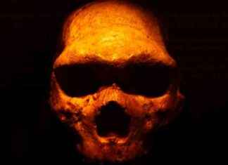 Unraveling the Mystery of Missing Neanderthal DNA in Humans news-17062024-154654