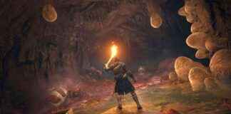 news-20062024-111101