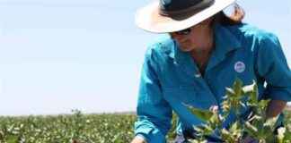 skills-shortage-could-lead-to-food-insecurity