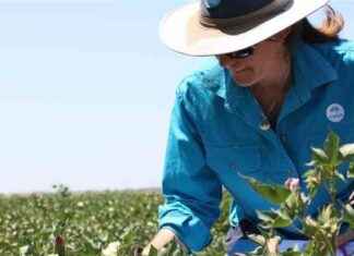 Skills shortage could lead to food insecurity skills-shortage-could-lead-to-food-insecurity