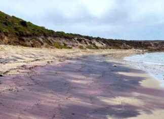 The Hidden Origins of South Australia’s Pink Sand: Unveiling the Antarctic Connection the-hidden-origins-of-south-australias-pink-sand-unveiling-the-antarctic-connection