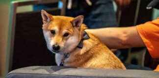 news-08072024-035728