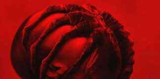 news-12072024-135335