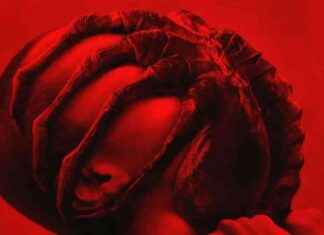 Alien: Romulus Facehugger Popcorn Bucket – A Must-Have Movie Collectible news-12072024-135335