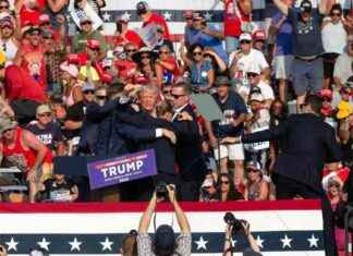 Suspect in Trump Assassination Attempt Had Discord Account, Company Reveals news-14072024-104737