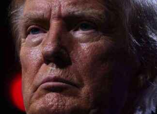 Donald Trump’s Twitch Account Reinstated After 3+ Years news-19072024-131619