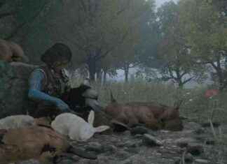 Expanding Player Base: Soulframe Set to Reach More Gamers This Autumn news-20072024-153718