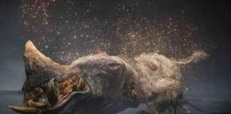 news-10082024-122939