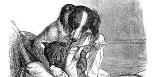 news-21092024-130652