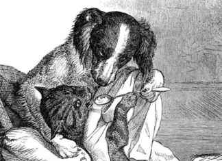 Top Weekend Games to Play Now news-21092024-130652