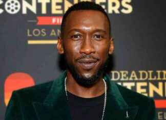 Blade Reboot Faces Further Delays, Loses 2025 Release Window news-23102024-082720