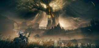 news-17112024-214735