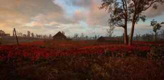 news-25112024-231552