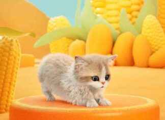 Catly Developer Unveils Official Gameplay Trailer Amid AI Controversy catly-developer-unveils-official-gameplay-trailer-amid-a-controversy