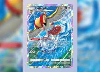 Top Support Cards for Pokémon TCG Decks news-01122024-060953