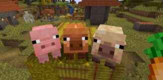 discover-minecrafts-new-pig-variants-falling-leaves-wildflowers-and-more-in-public-testing-exciting-updates
