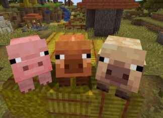 Discover Minecraft’s New Pig Variants, Falling Leaves, Wildflowers, and More in Public Testing – Exciting Updates! discover-minecrafts-new-pig-variants-falling-leaves-wildflowers-and-more-in-public-testing-exciting-updates