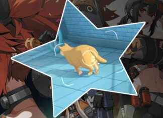 Update: Zenless Zone Zero Introduces Cat Testicle Jiggle Physics update-zenless-zone-zero-ntroduces-cat-testicle-jiggle-physics