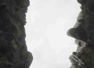 Lushfoil Photography Sim Review: A Comprehensive Analysis lushfoil-photography-sim-review-a-comprehensive-analysis