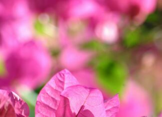 When Is Squid Game Season 3 Coming Out? Uncover The Secrets!