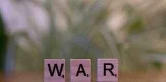 pexels photo 30885931