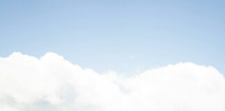 The Last of Us Game: Discover Secrets Behind Its Epic Storyline