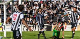 pexels photo 32101473