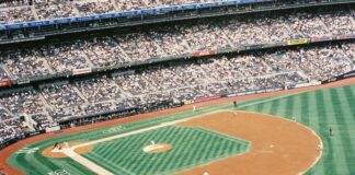 Take Me Out to The Ball Game: Discover The Ultimate Fan Experience