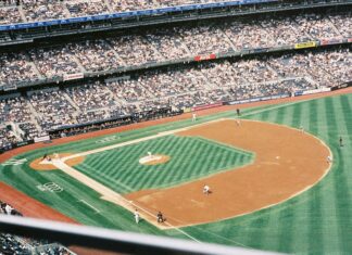 Take Me Out to The Ball Game: Discover The Ultimate Fan Experience