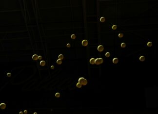 Shadow The Hedgehog Game: Uncover Secrets and Epic Gameplay