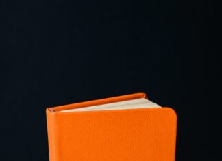 New Hunger Games Book Sparks Excitement Among Fans Worldwide