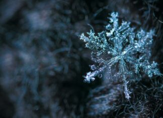 Cool Math Games: Discover Tiny Fishing and Boost Your Skills!