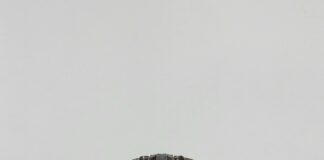 Motor Game Madness: Unleash Your Competitive Spirit Today!