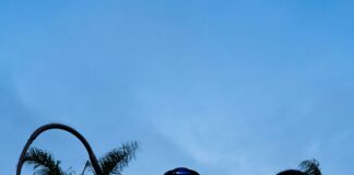 Finnick Odair: Why This Hunger Games Character Captivates Us All