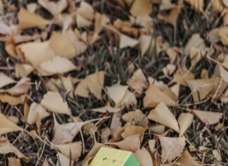 Game of Thrones Season 5: Uncover Hidden Secrets and Shocking Twists