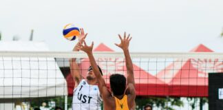 pexels photo 1263426