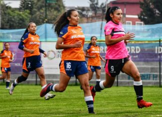 Most Rushing Yards in a Game: Discover Record-Breaking Performances!