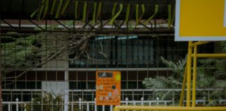 pexels photo 14435641