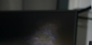 pexels photo 15467344