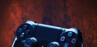 pexels photo 16070479